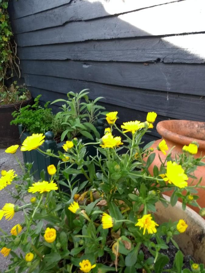 Cosy, Dog Friendly House On The Fringe Of The Brecon Beacons Villa Tredegar Eksteriør billede